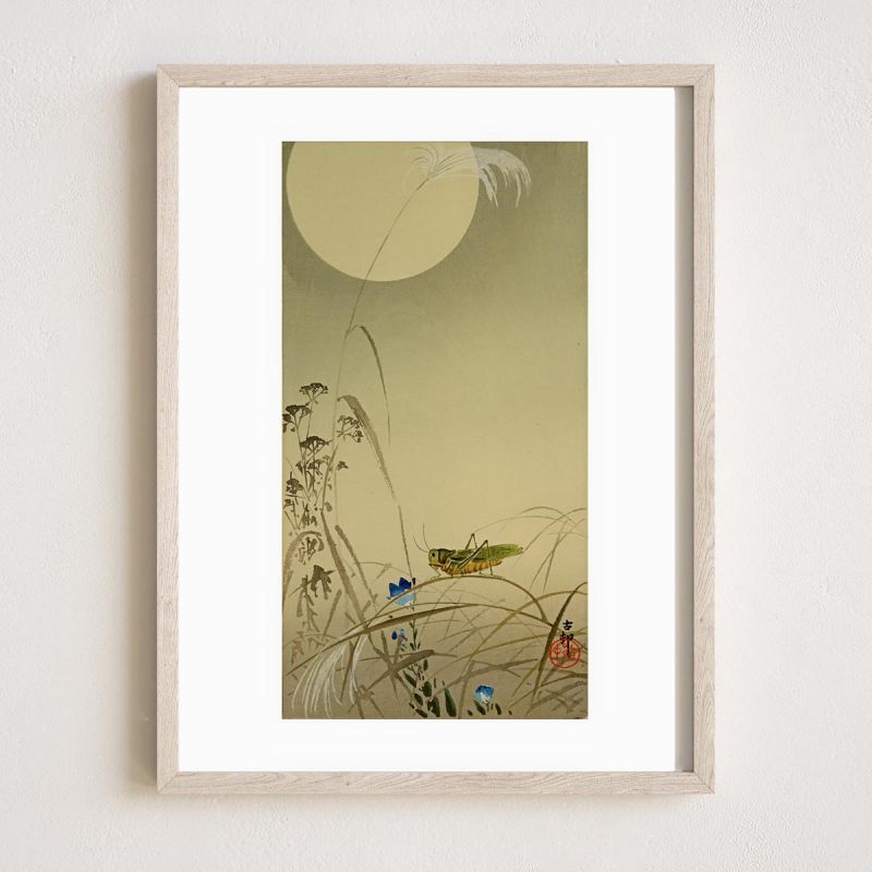 Japanese print, Grasshopper and full Moon, OHARA KOSON