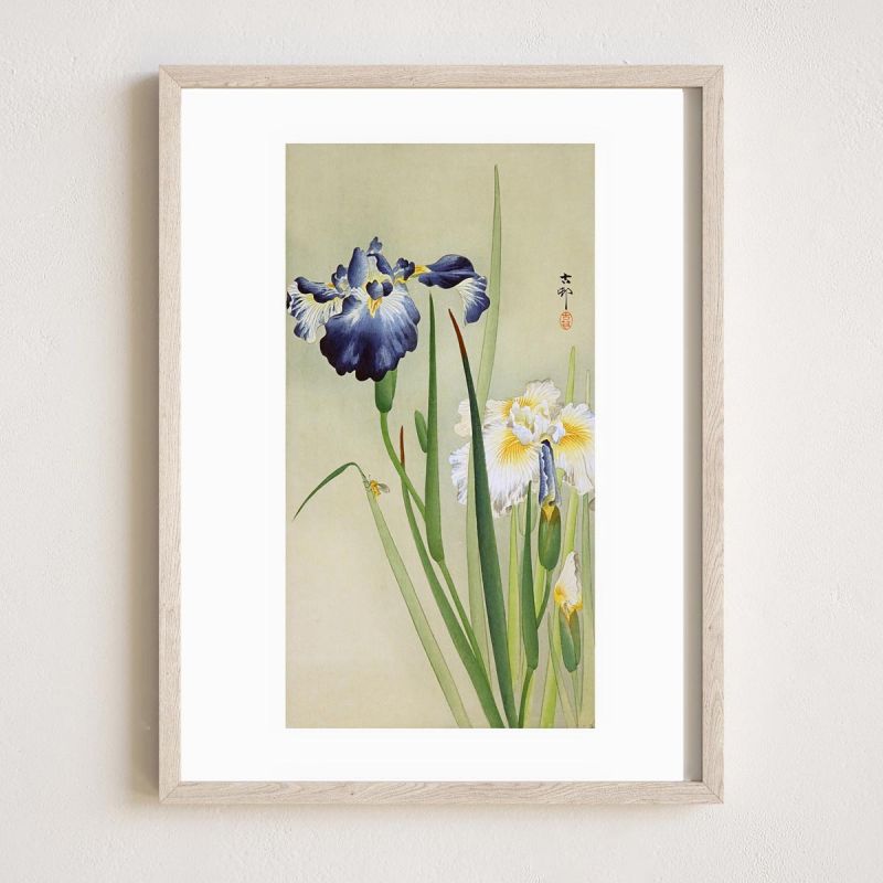 Estampado japonés, Iris, OHARA KOSON