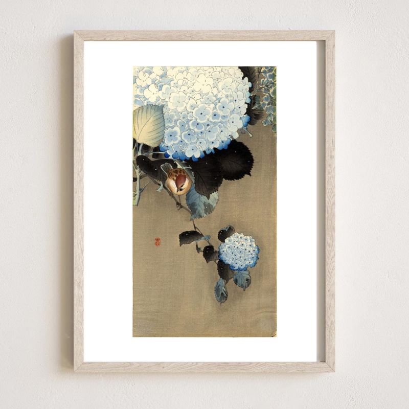 Japanese print, Bird on hydrangea, OHARA KOSON