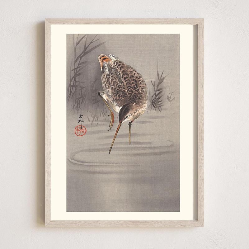 Stampa giapponese, Solitary Snipe, OHARA KOSON