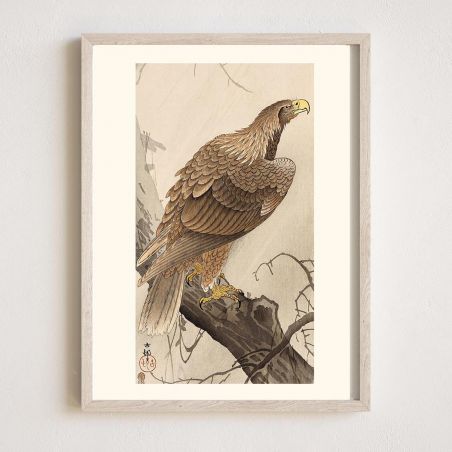 Japanischer Druck, Seeadler, OHARA KOSON