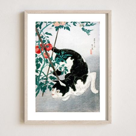 Reproduction d'estampe japonaise,chat avec un plant de tomate par Hiroaki Takahashi